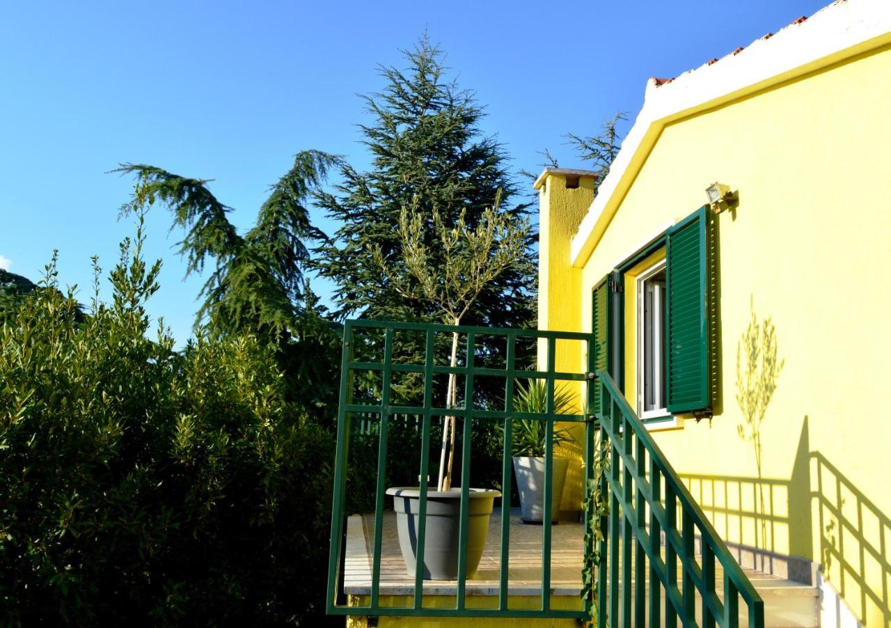 Apartments Vukovic Stari Grad  Kültér fotó